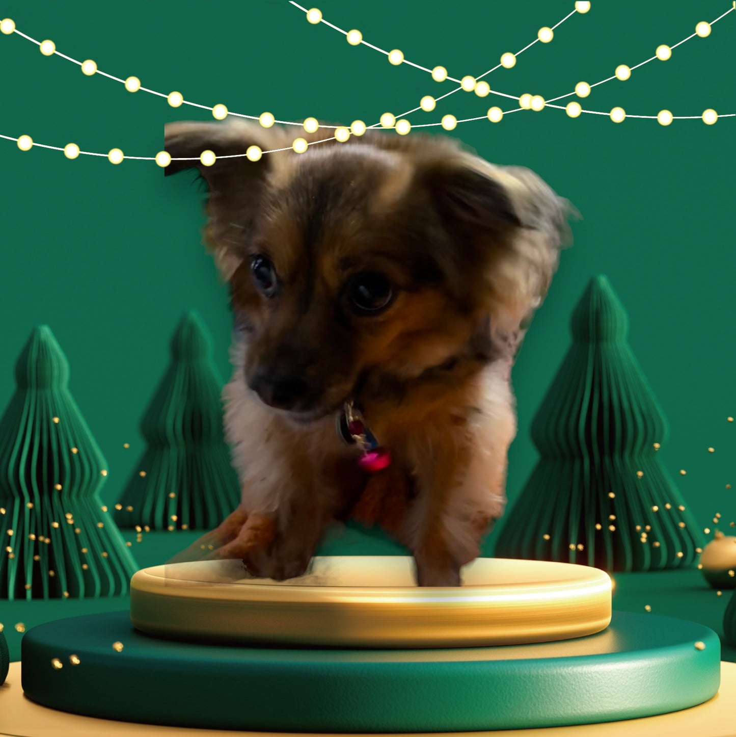 Jingle Bell and Gemstone Pet Collar Charms
