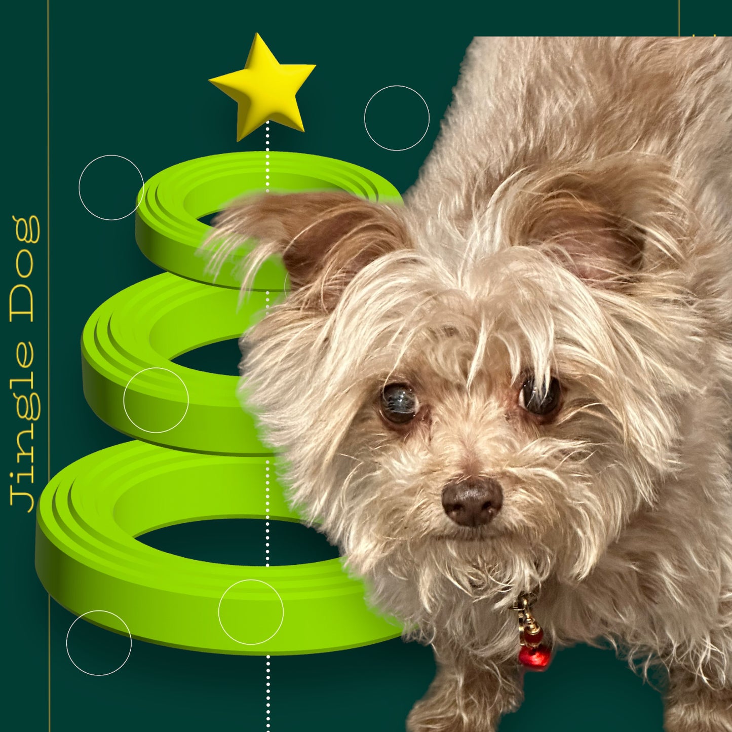 Jingle Bell and Gemstone Pet Collar Charms