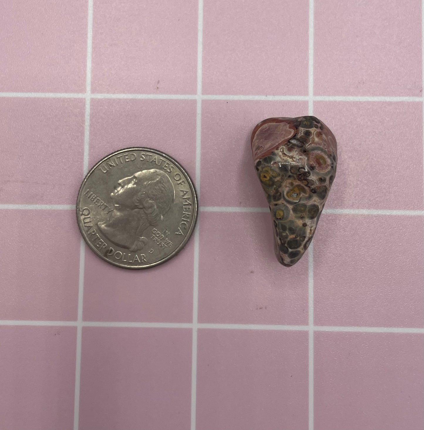 Leopard print Jasper Refrigerator Magnet
