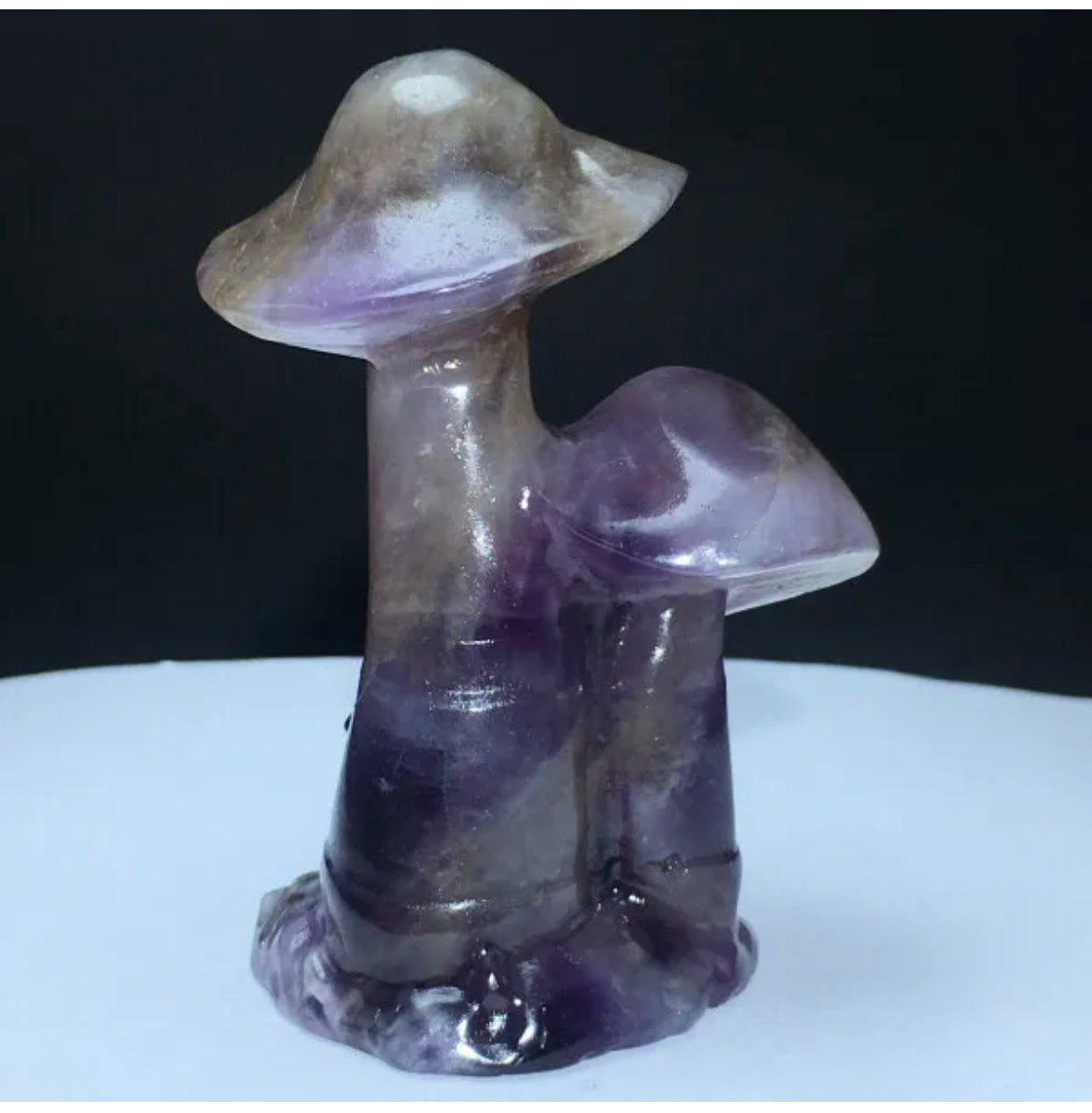 Amethyst mushroom bunch