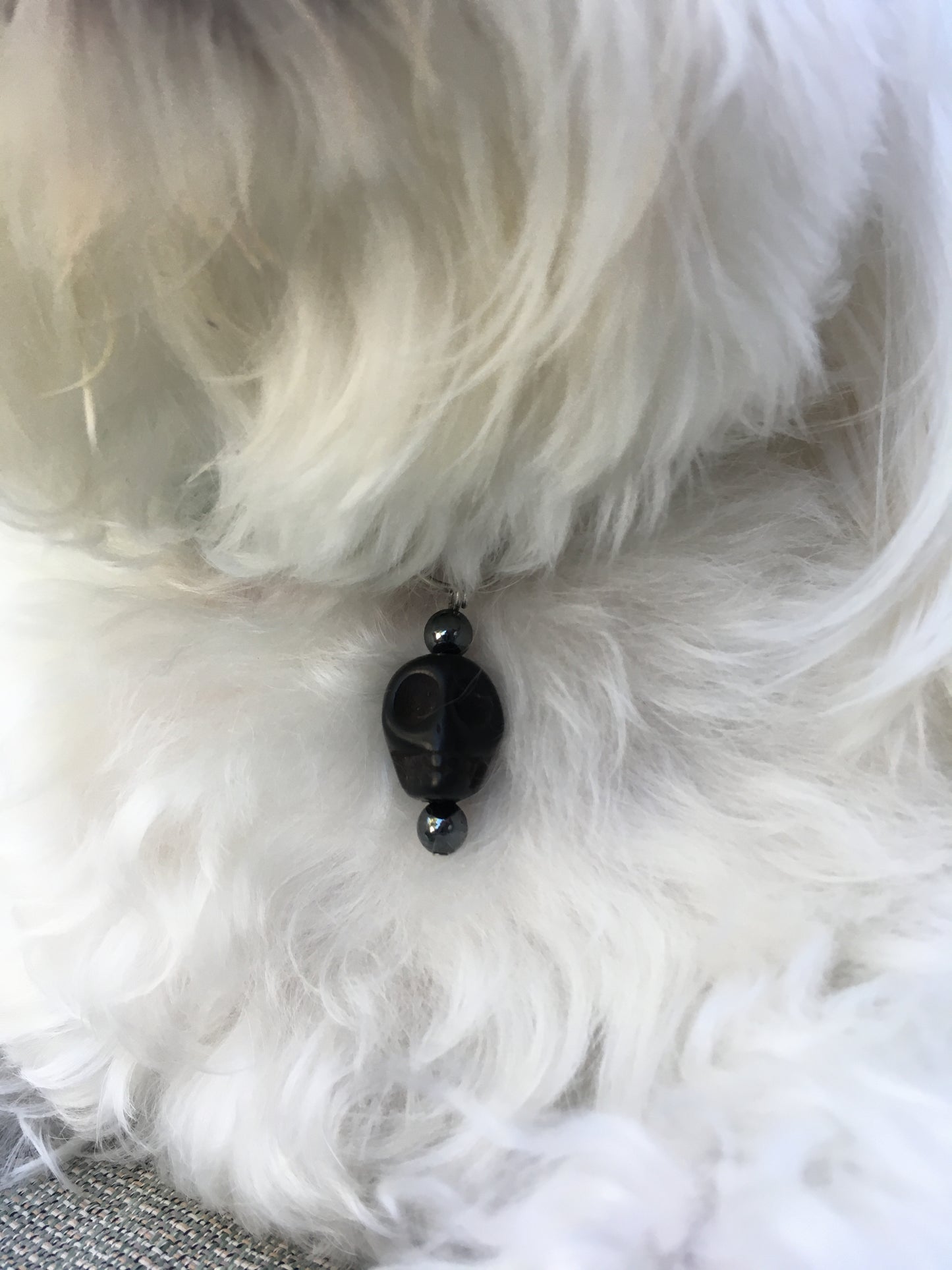 Pet Charm Carved Howlite Gemstone Skull