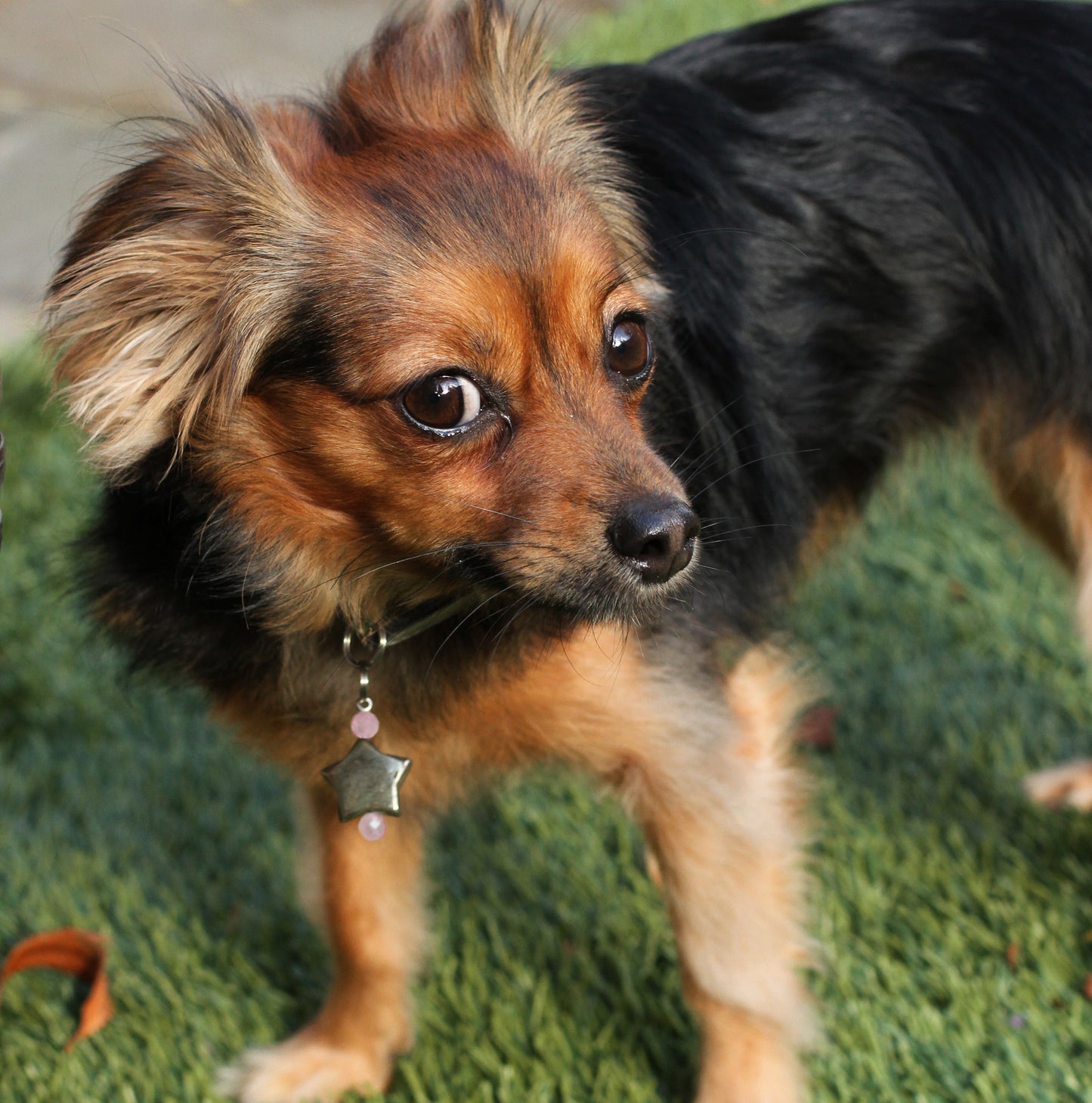 Pet Charm with Pyrite and Genuine Gemstones