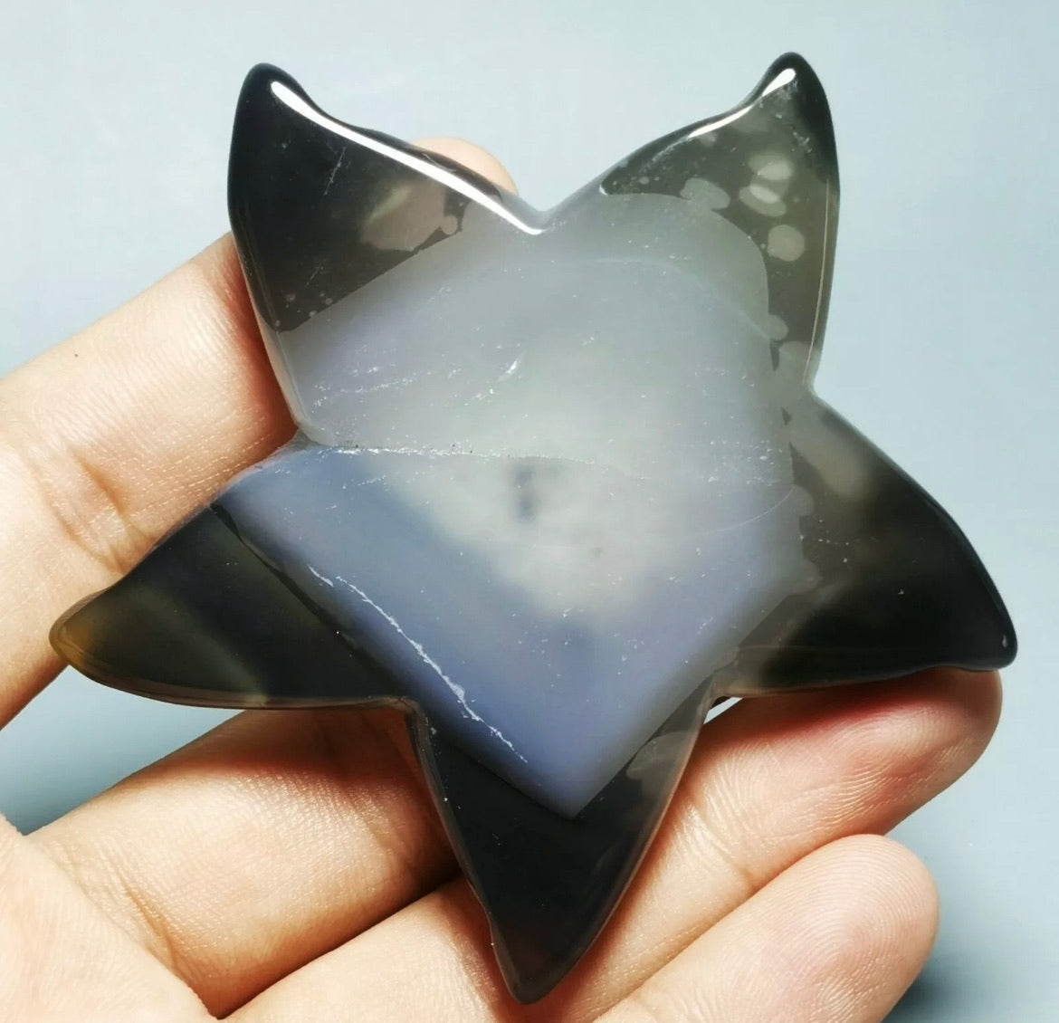 Natural Geode Agate Starfish