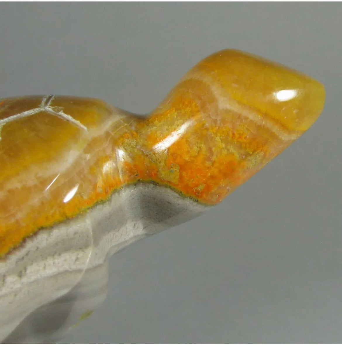 Rare Natural Bumblebee Jasper Turtle
