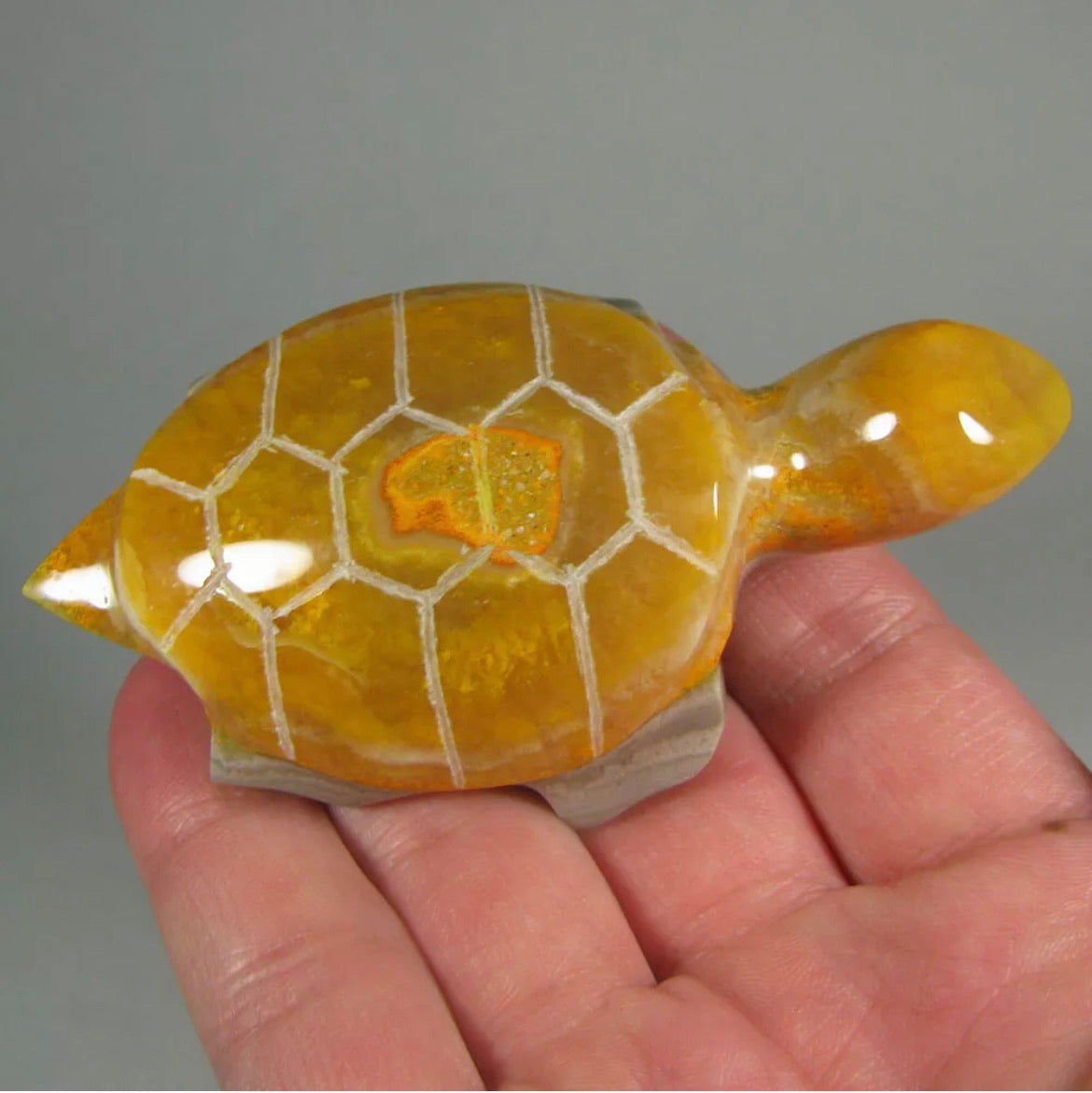 Rare Natural Bumblebee Jasper Turtle