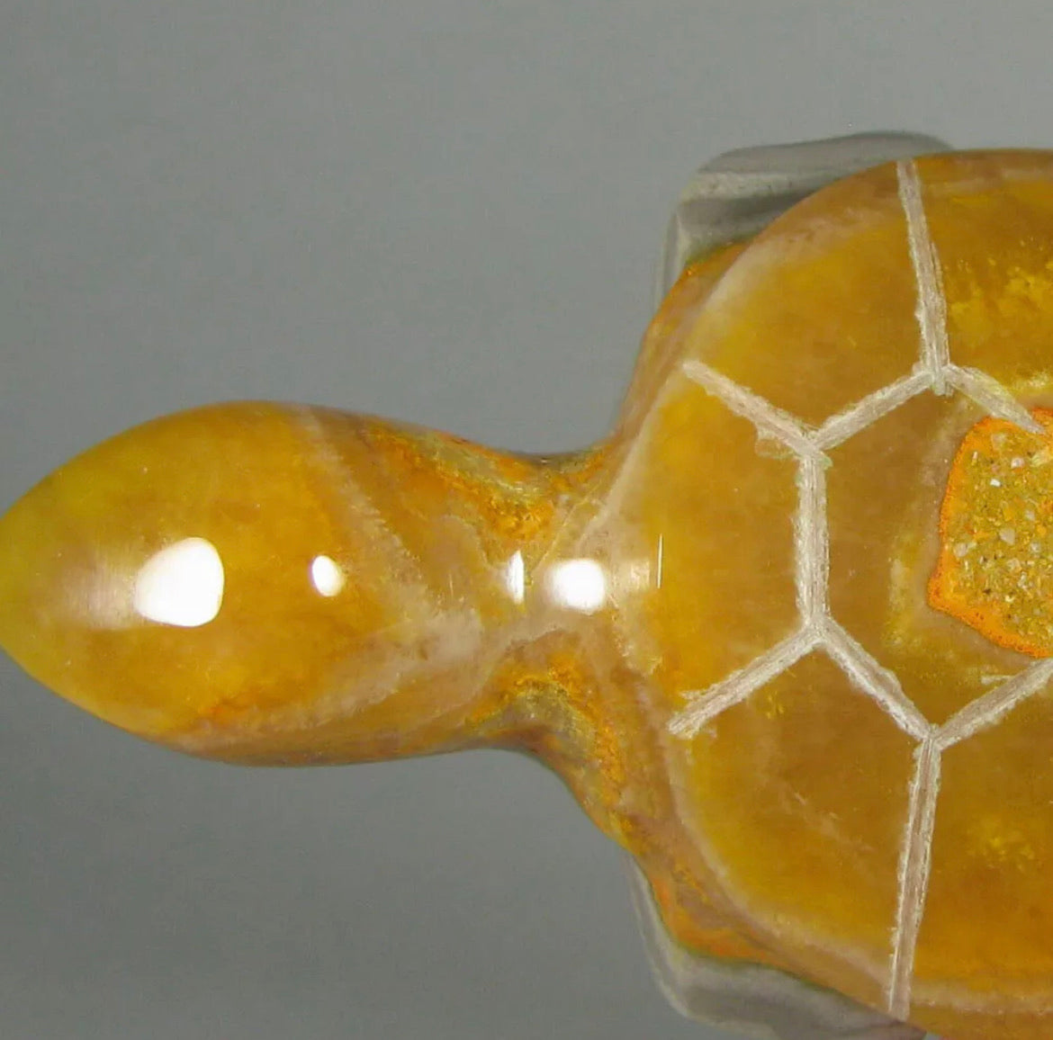 Rare Natural Bumblebee Jasper Turtle