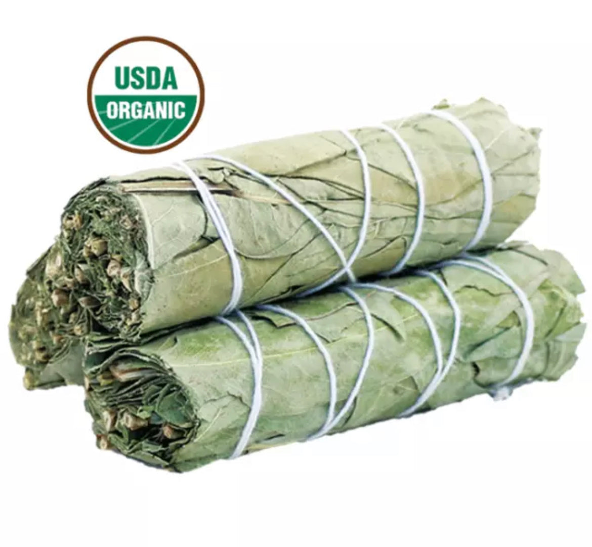 Eucalyptus Sage Smudge Stick House Cleansing, Energy Cleanse