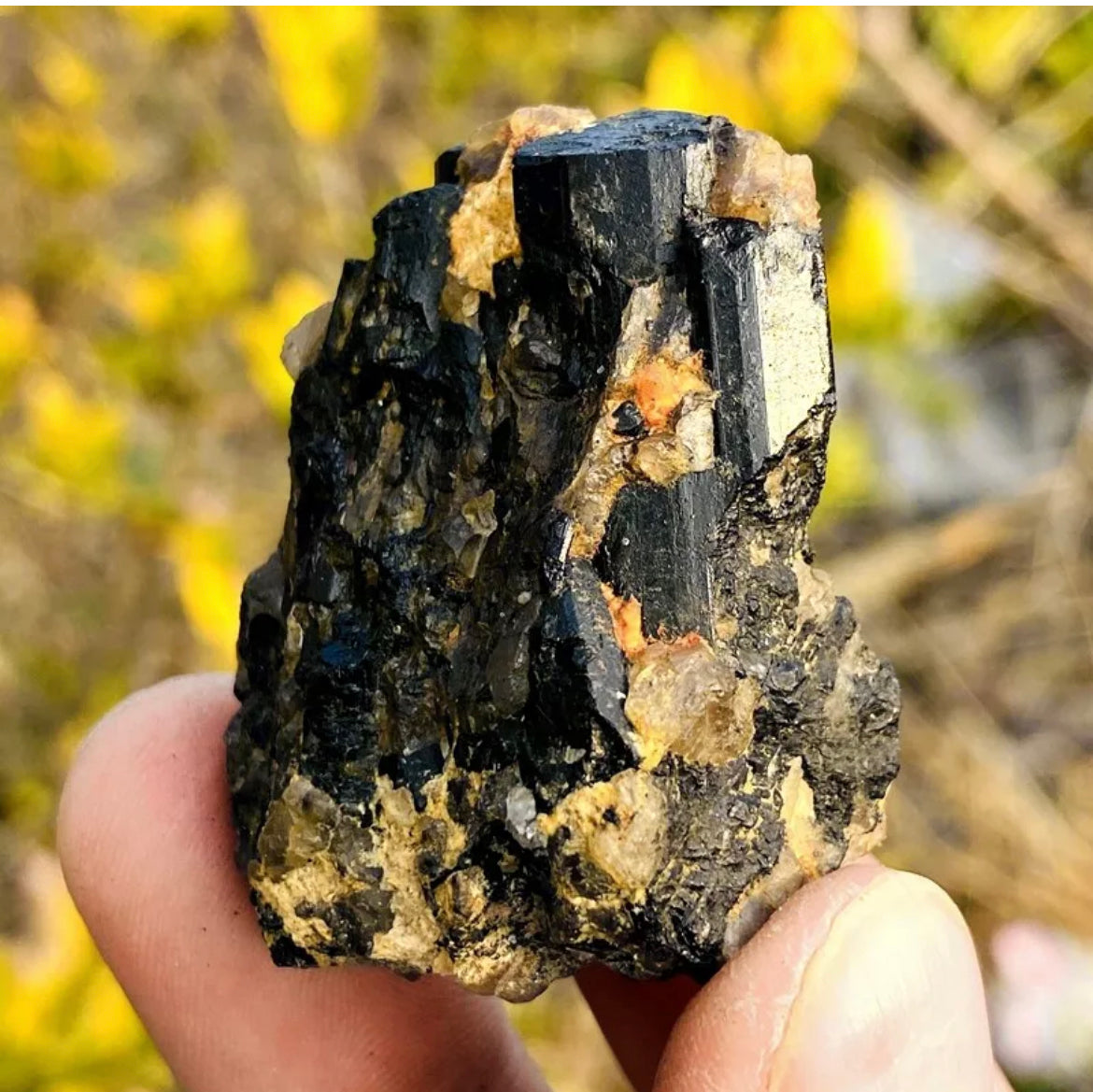 Natural black tourmaline gemstone quartz crystal mineral specimen