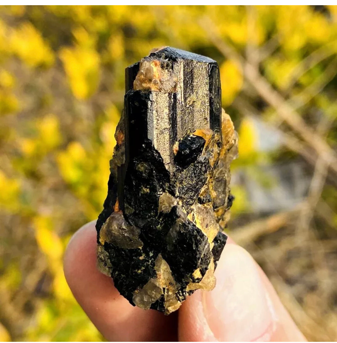Natural black tourmaline gemstone quartz crystal mineral specimen