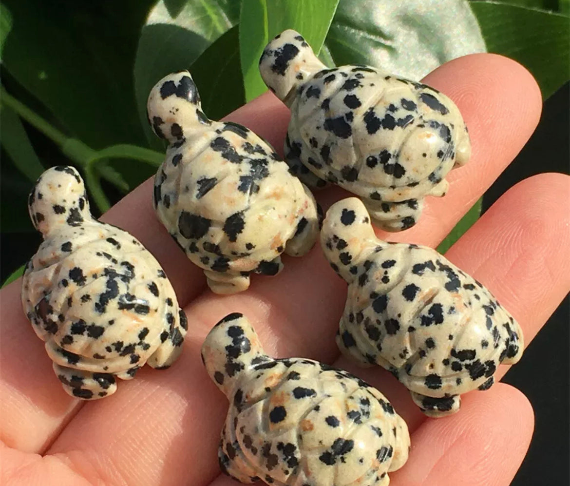 Natural Dalmatian Jasper gemstone carved turtle Figurine