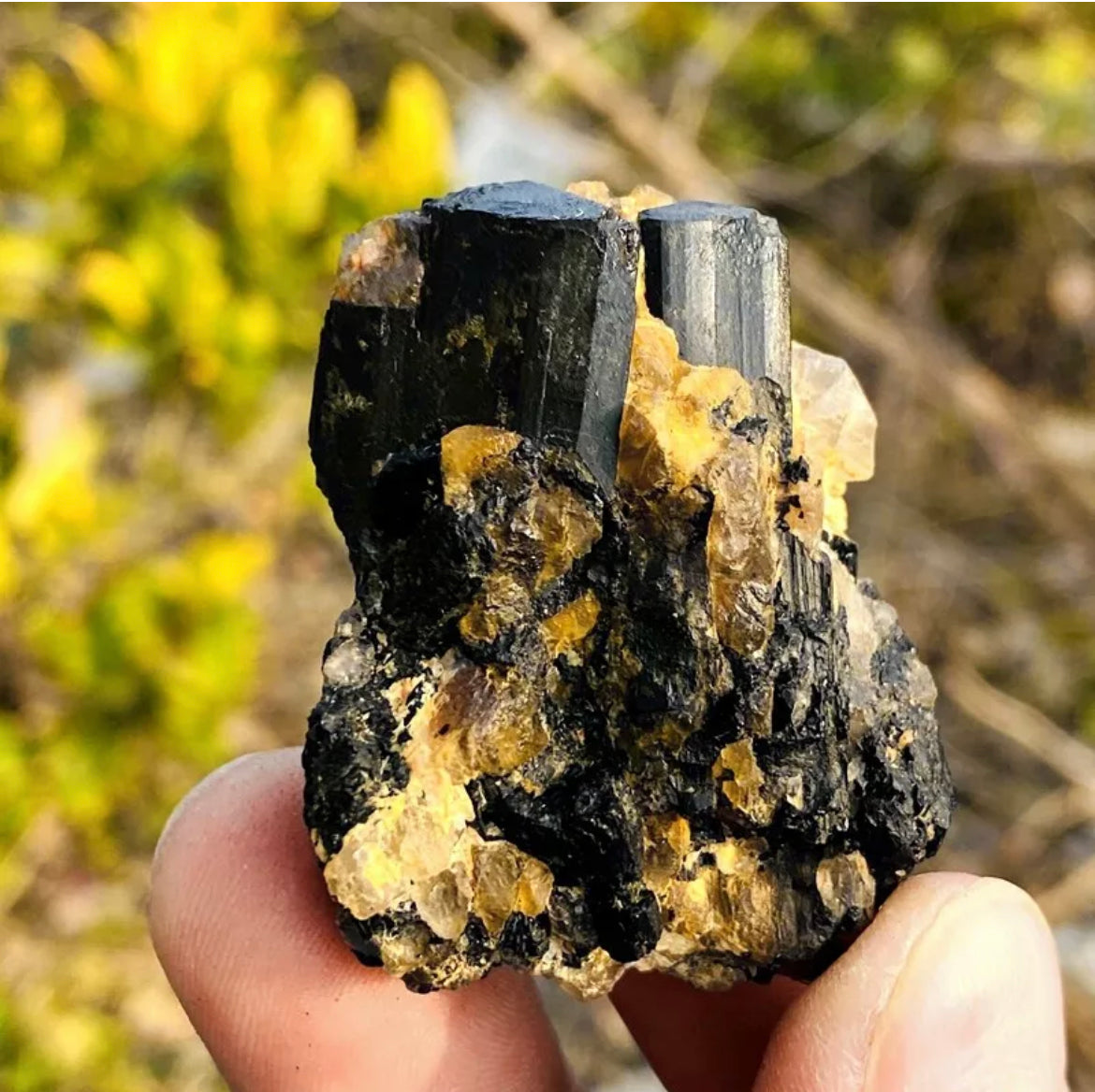 Natural black tourmaline gemstone quartz crystal mineral specimen