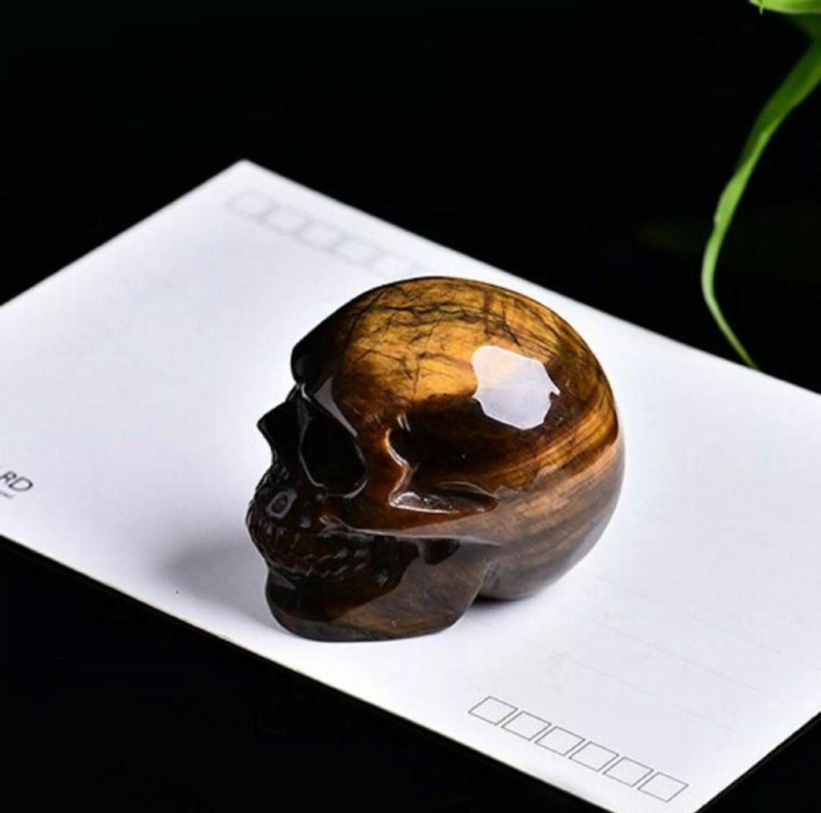 Natural Tiger Eye, Obsidian, Aventurine or White Turquoise gemstone Skull