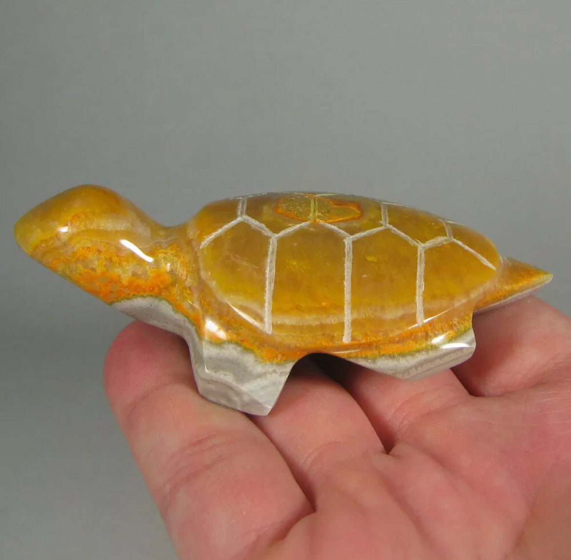 Rare Natural Bumblebee Jasper Turtle