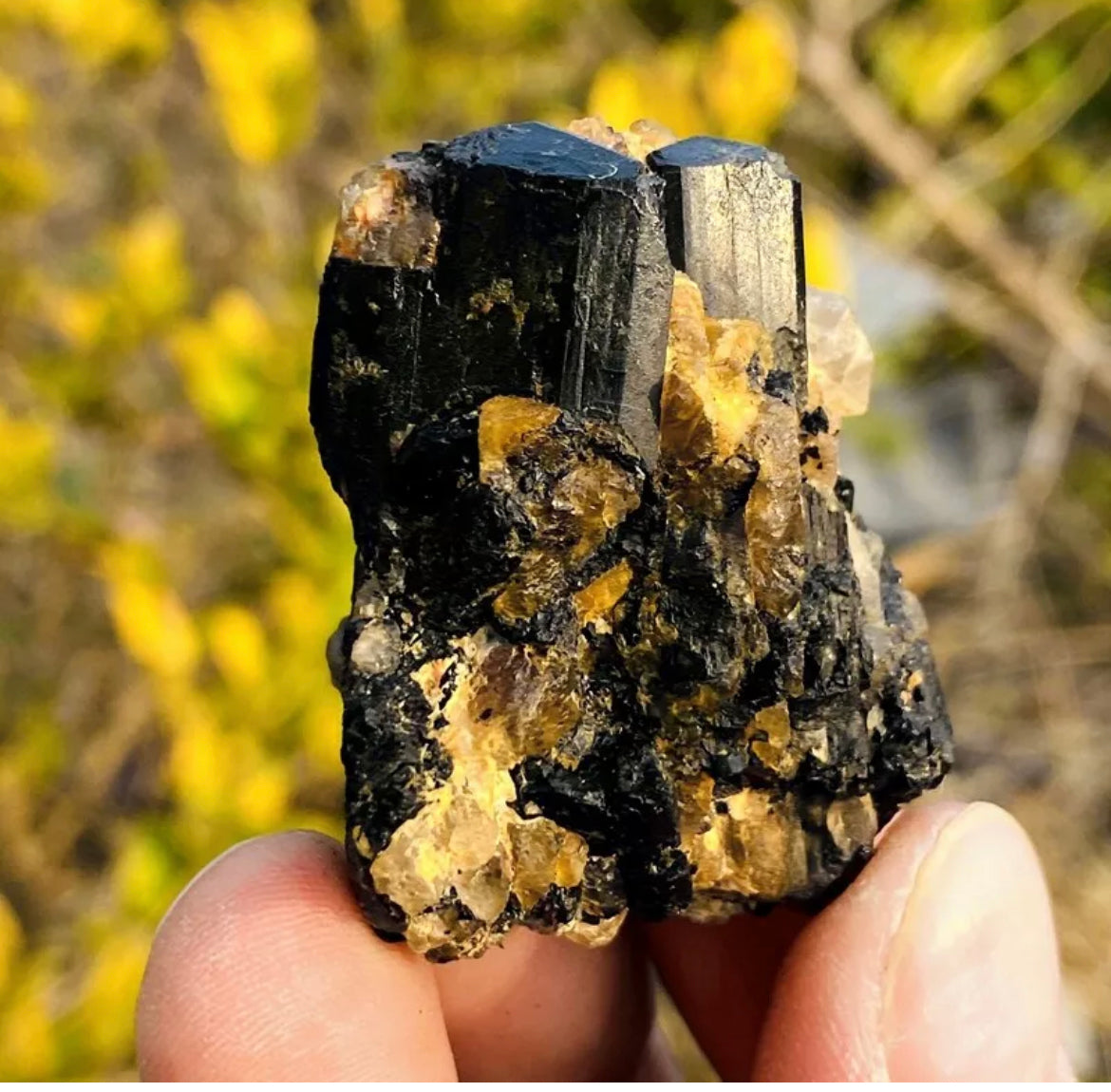 Natural black tourmaline gemstone quartz crystal mineral specimen
