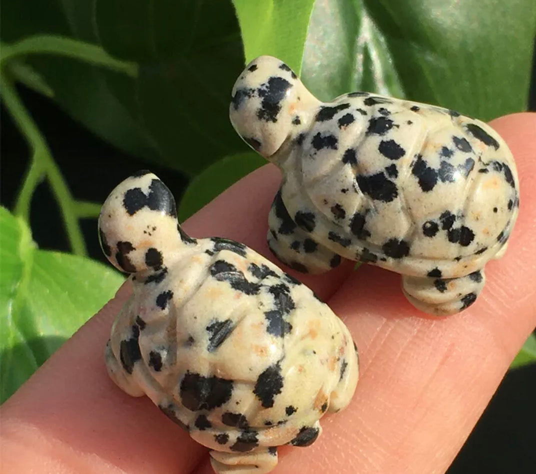 Natural Dalmatian Jasper gemstone carved turtle Figurine
