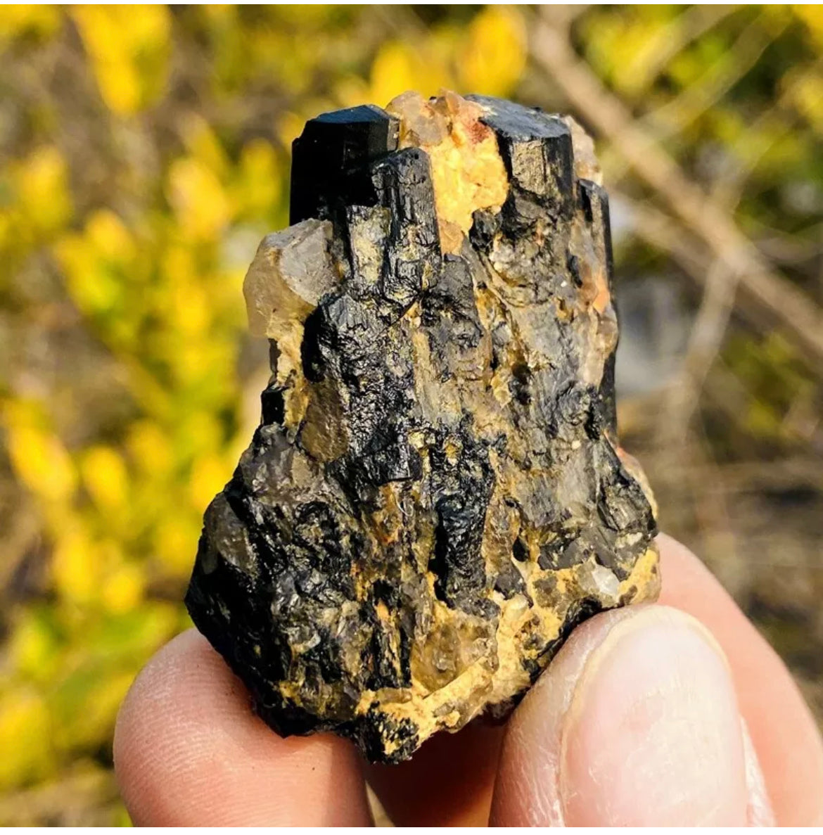Natural black tourmaline gemstone quartz crystal mineral specimen