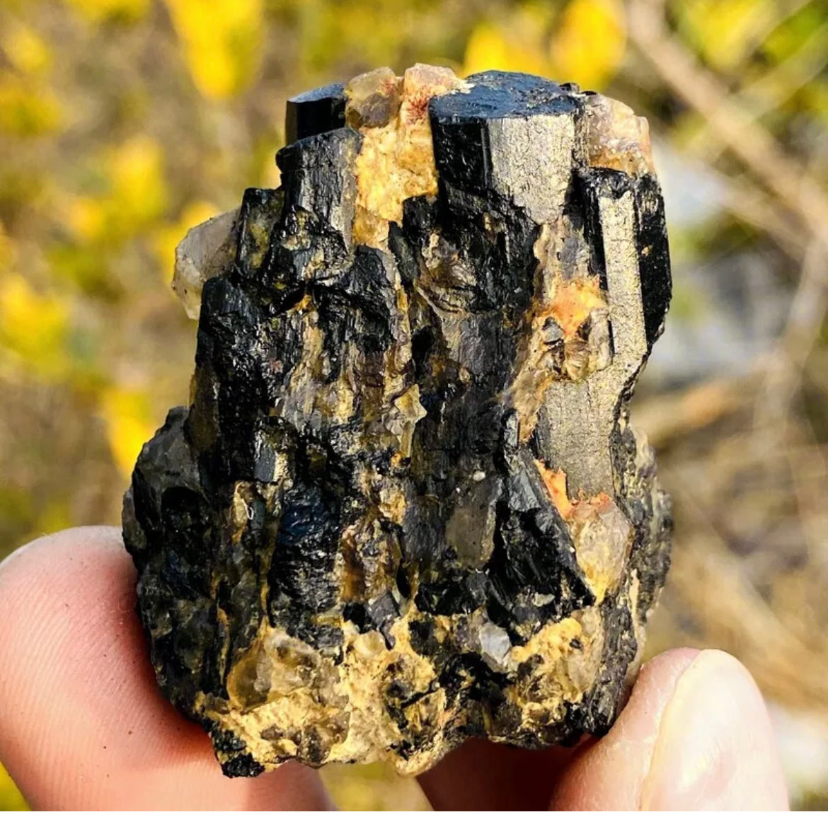 Natural black tourmaline gemstone quartz crystal mineral specimen
