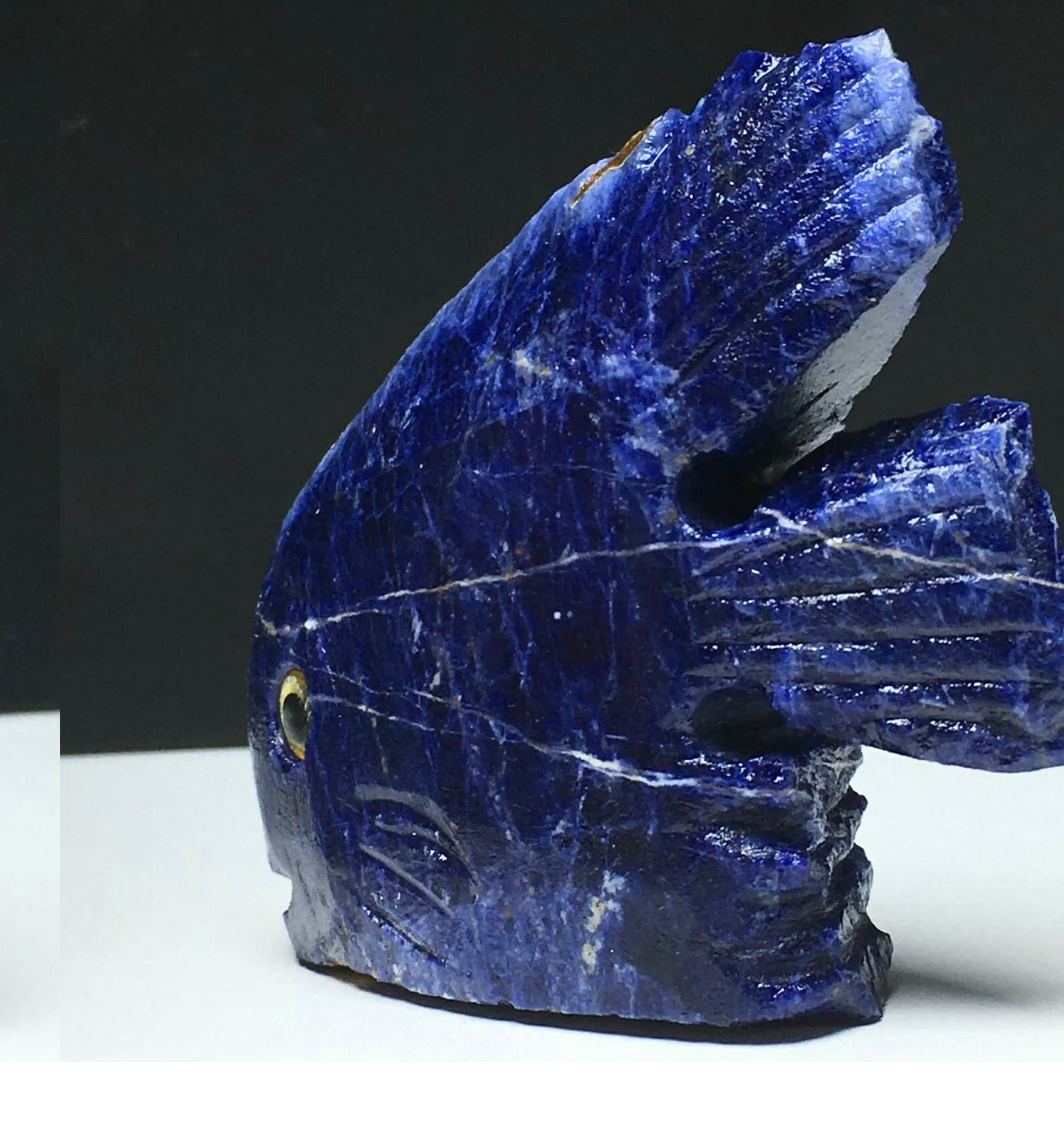 Natural Sodalite gemstone Fish Figurine