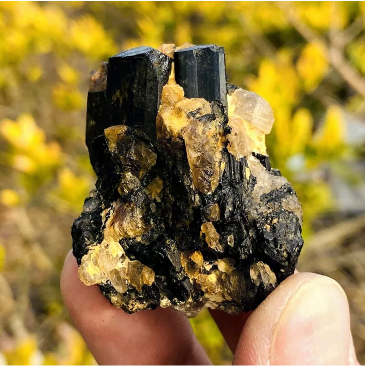 Natural black tourmaline gemstone quartz crystal mineral specimen