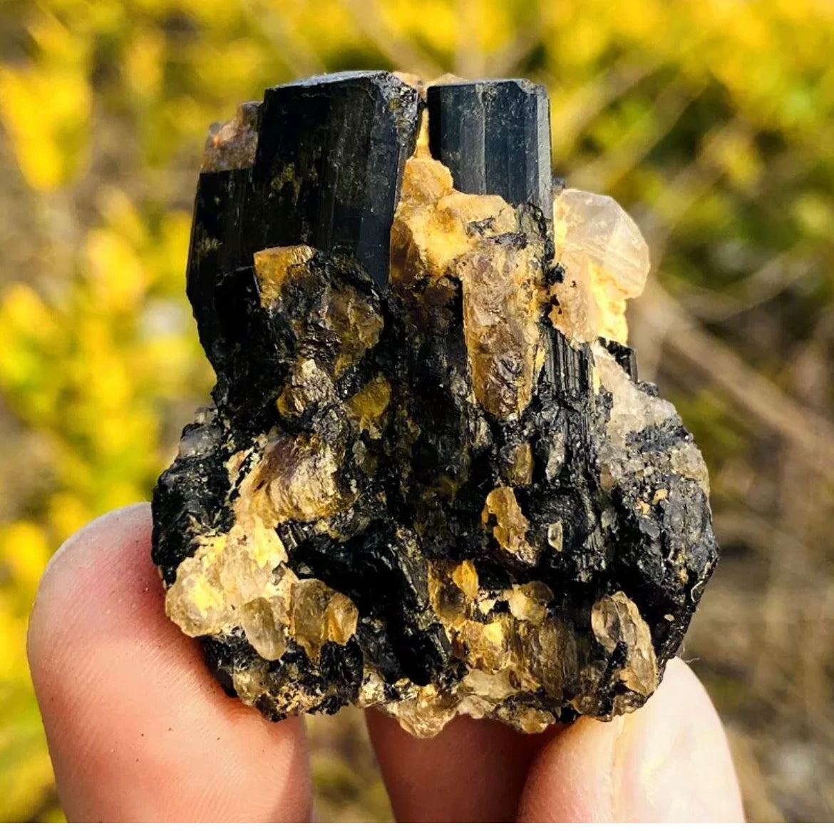 Natural black tourmaline gemstone quartz crystal mineral specimen