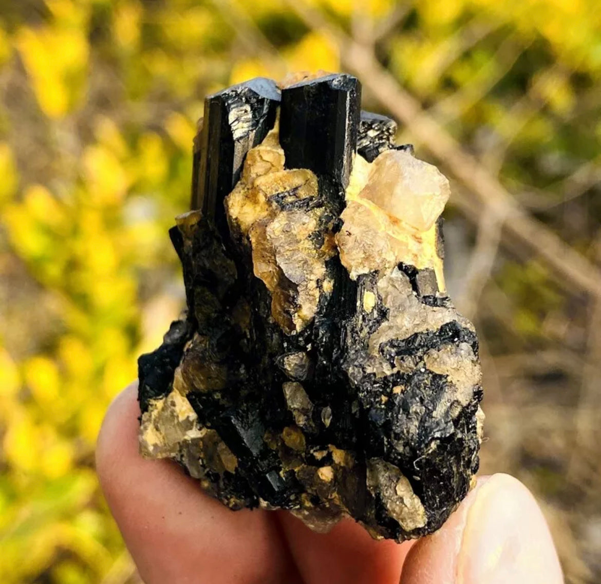 Natural black tourmaline gemstone quartz crystal mineral specimen