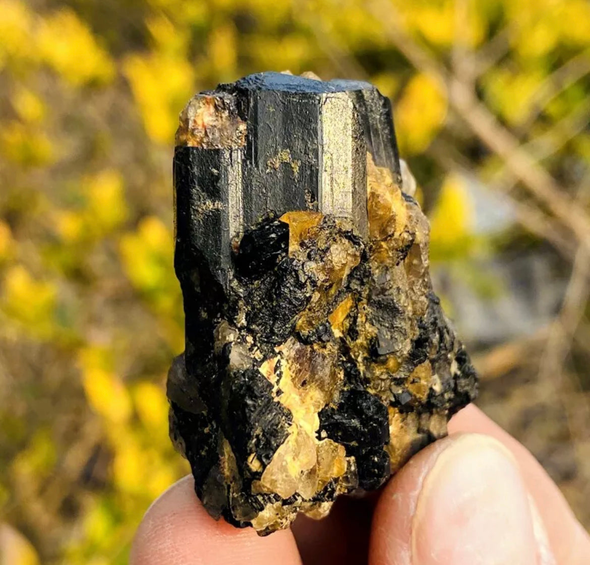 Natural black tourmaline gemstone quartz crystal mineral specimen