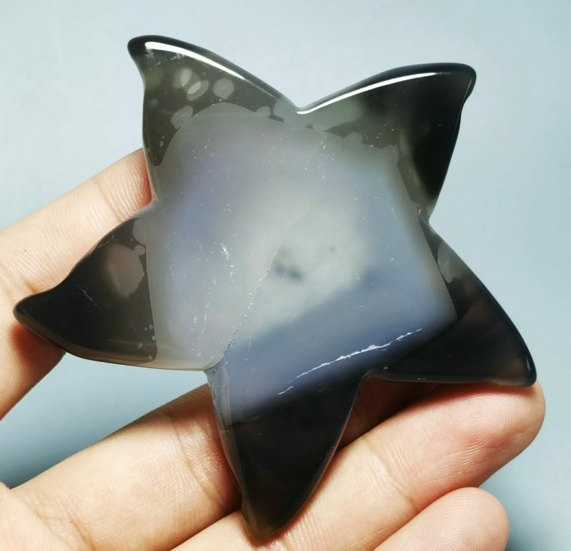 Natural Geode Agate Starfish
