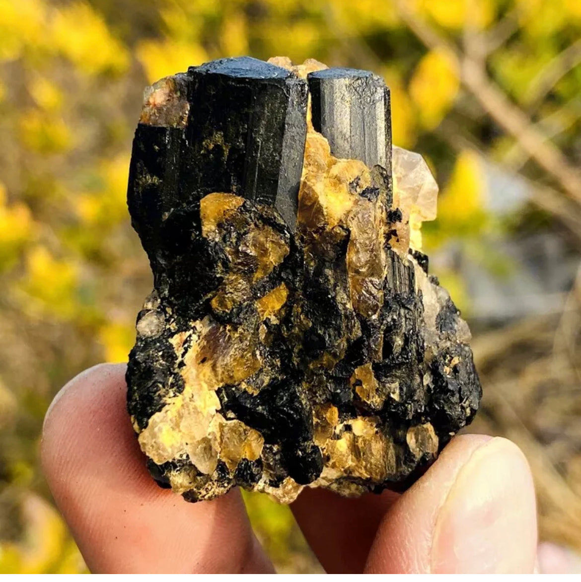 Natural black tourmaline gemstone quartz crystal mineral specimen