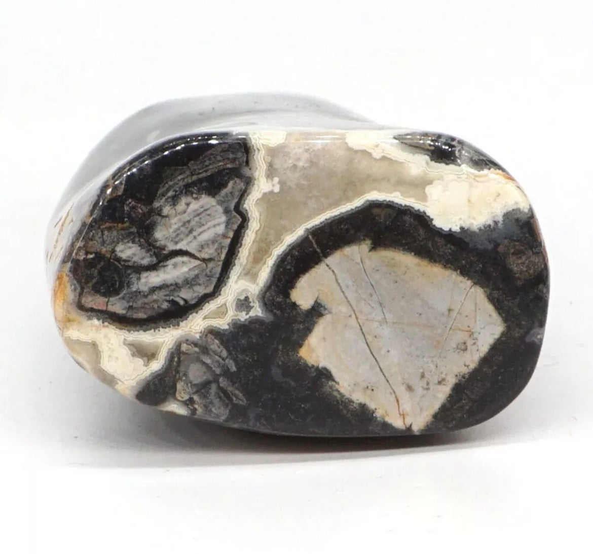 Natural Silver Leaf Jasper gemstone
