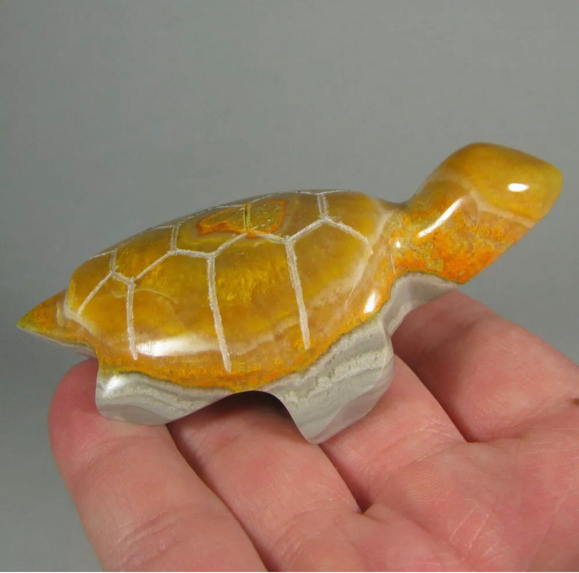 Rare Natural Bumblebee Jasper Turtle
