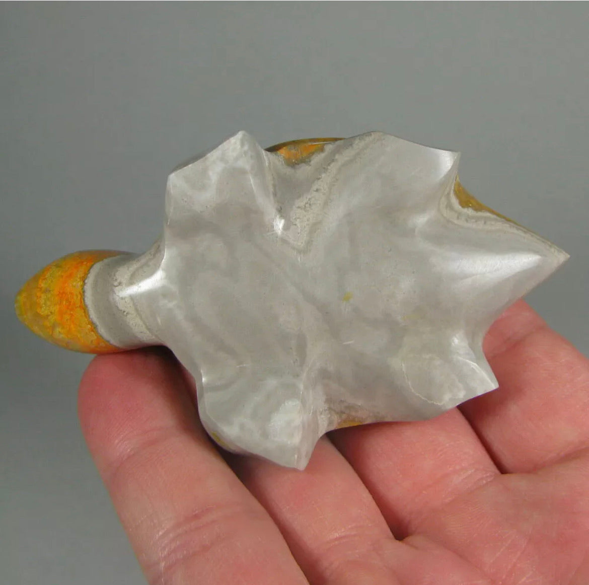 Rare Natural Bumblebee Jasper Turtle
