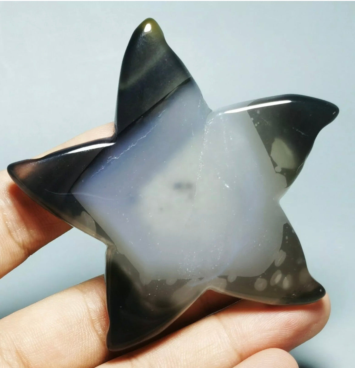 Natural Geode Agate Starfish