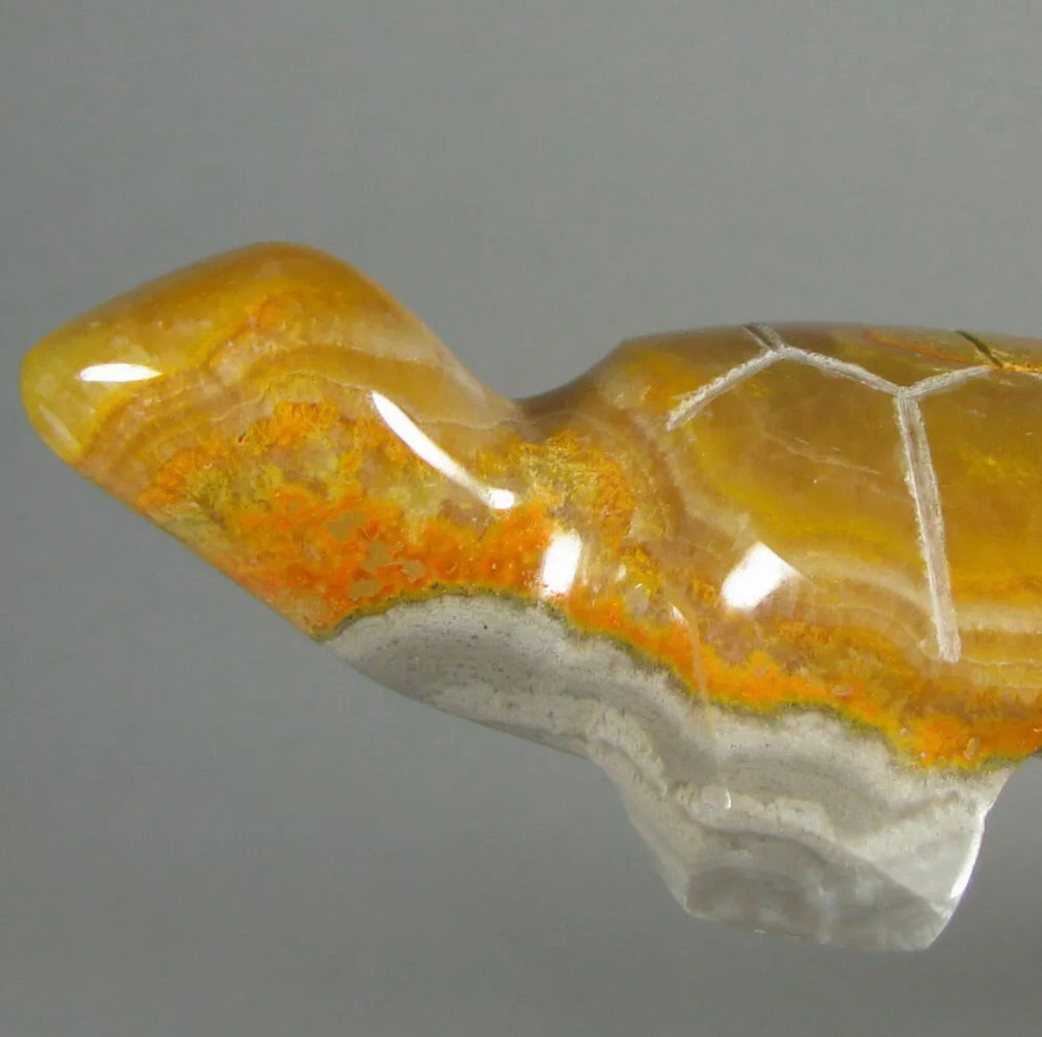 Rare Natural Bumblebee Jasper Turtle