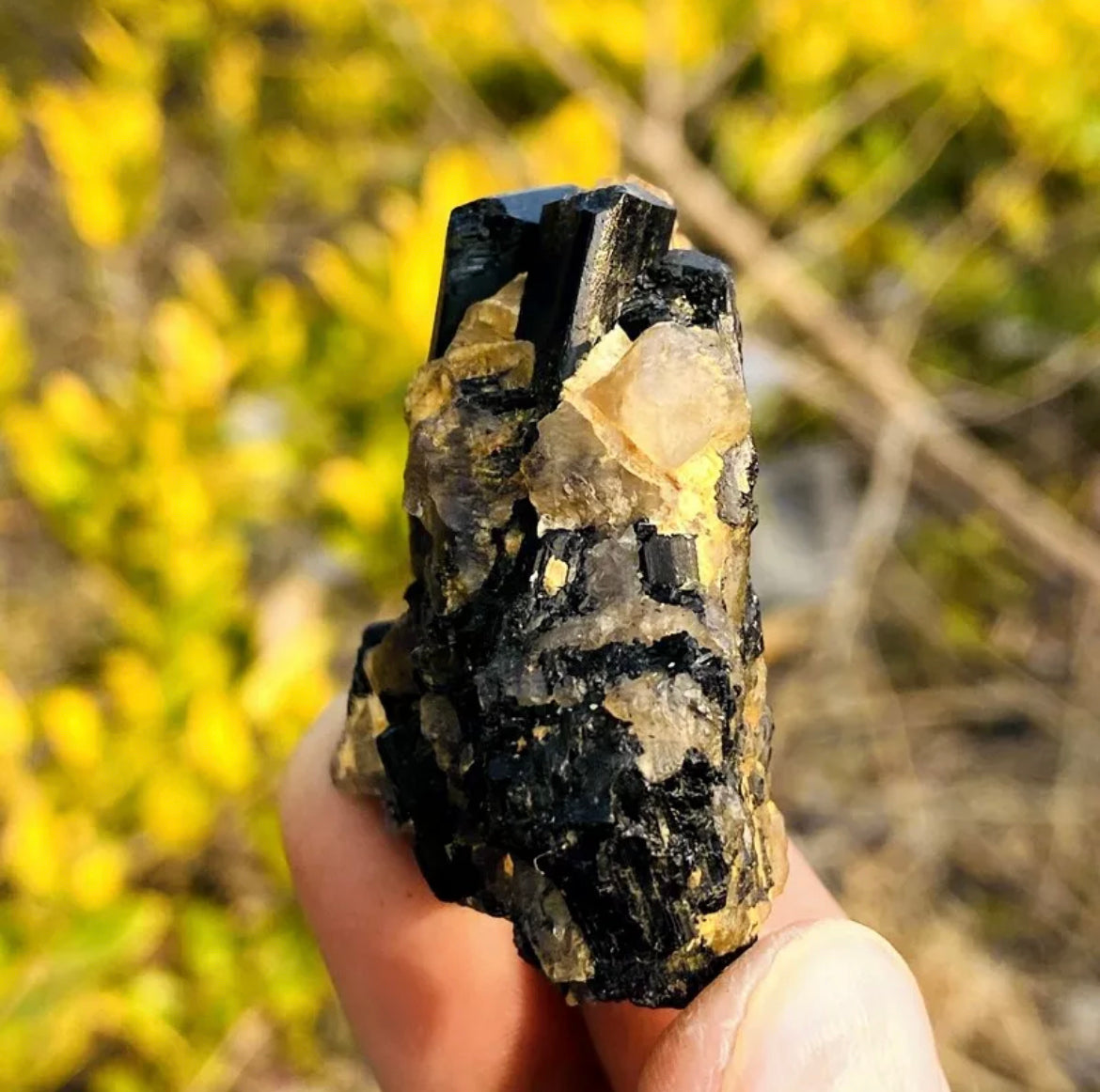 Natural black tourmaline gemstone quartz crystal mineral specimen