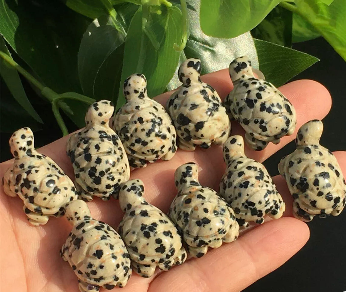 Natural Dalmatian Jasper gemstone carved turtle Figurine