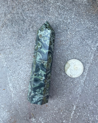 Kambaba Jasper Wand