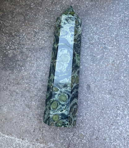 Kambaba Jasper Wand