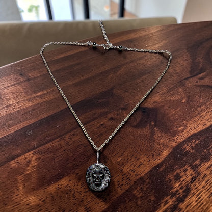 Hematite Lion Pendant on Patina copper chain Necklace