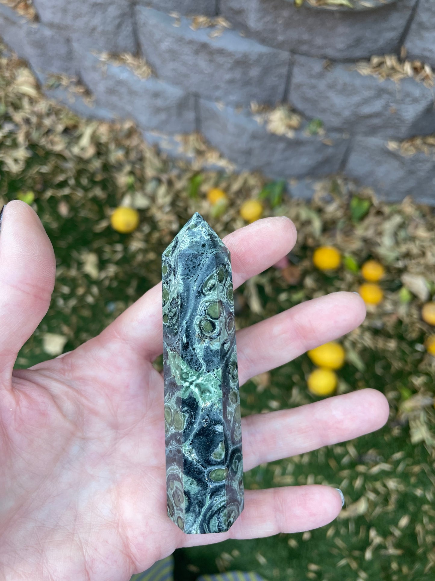 Kambaba Jasper Wand