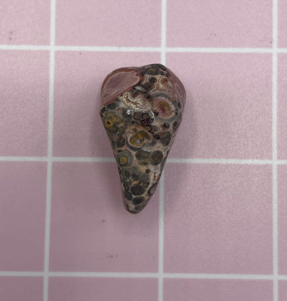 Leopard print Jasper Refrigerator Magnet