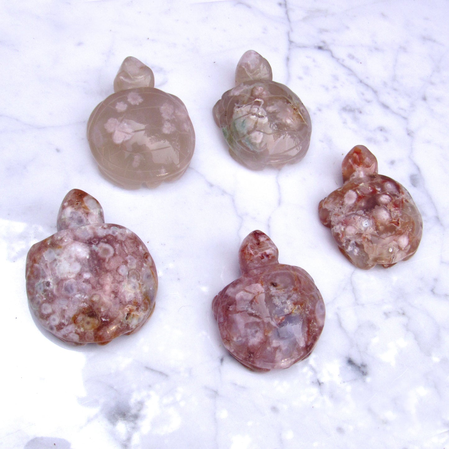 Sakura Agate Gemstone carved Turtles