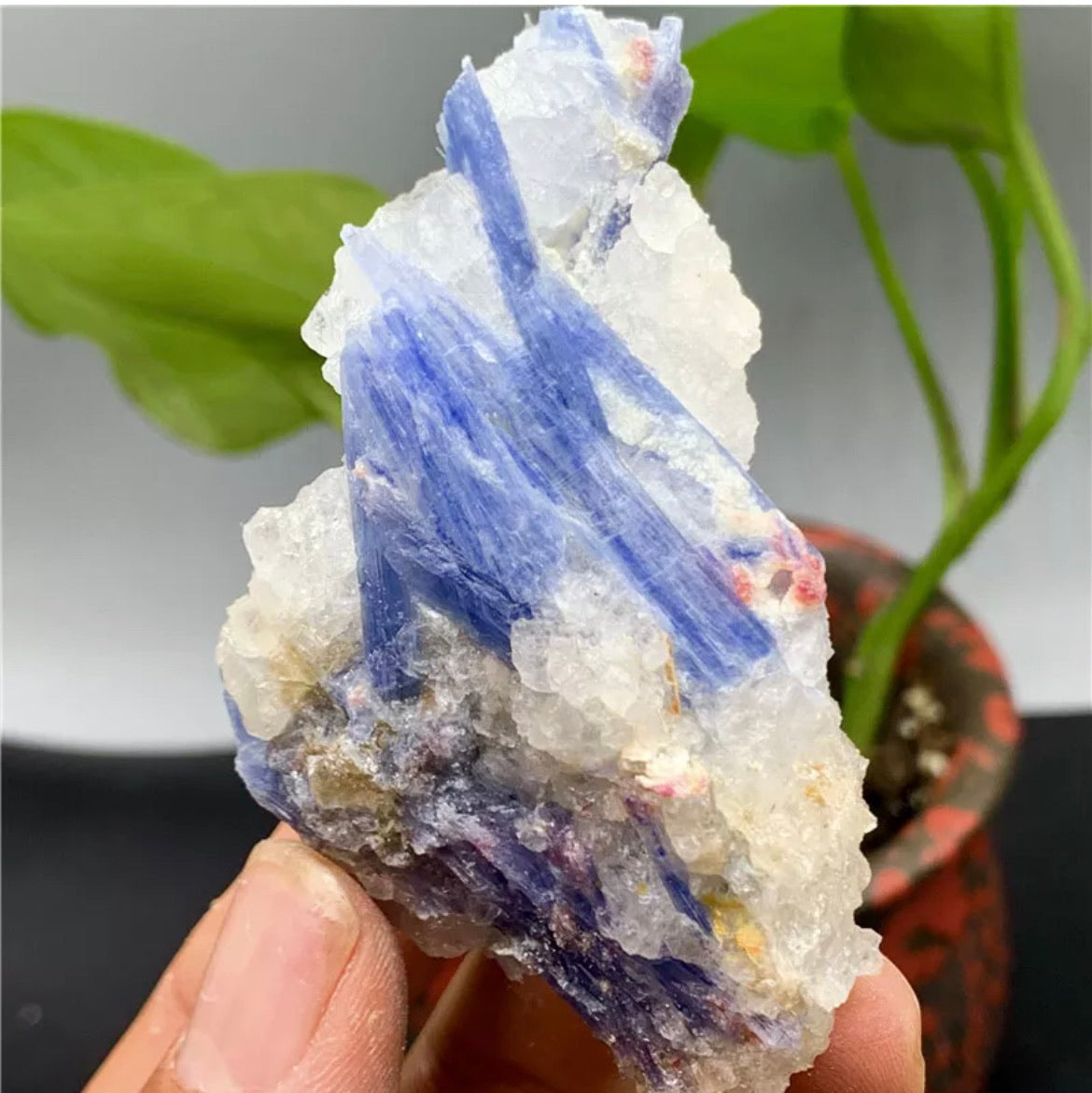 Rough Kyanite in Quartz Mineral Specimen