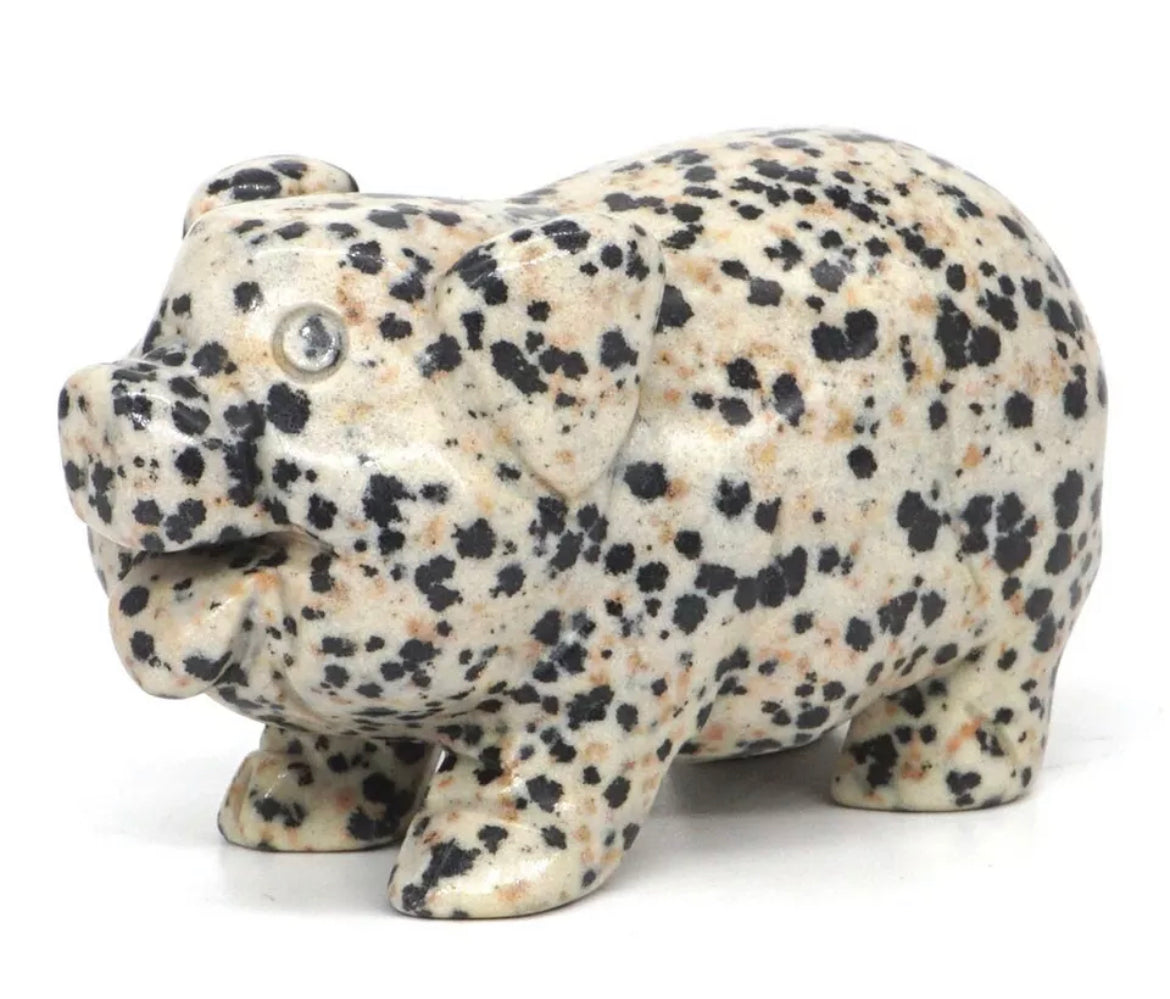 Natural Dalmatian Jasper Pig