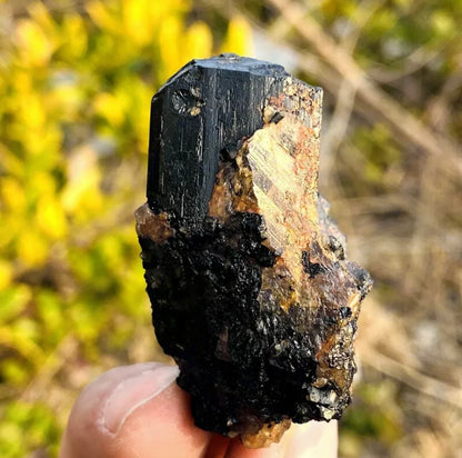 Natural black tourmaline quartz crystal mineral specimen