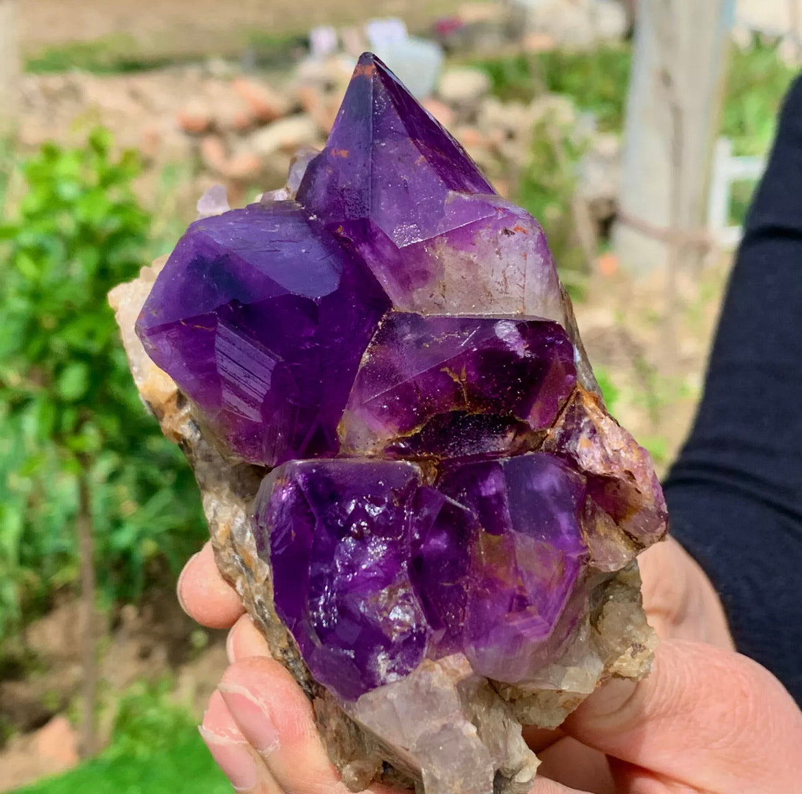 Natural Amethyst gemstone geode cluster crystal specimen