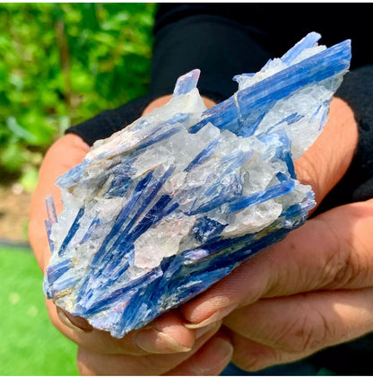 Natural Kyanite in Quartz free form