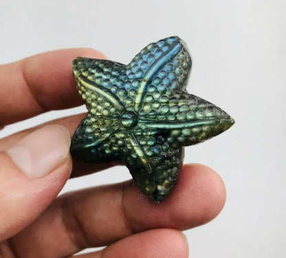 Natural Labradorite Starfish Crystal