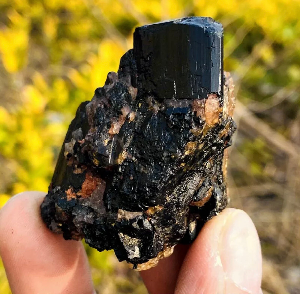 Natural black tourmaline quartz crystal mineral specimen