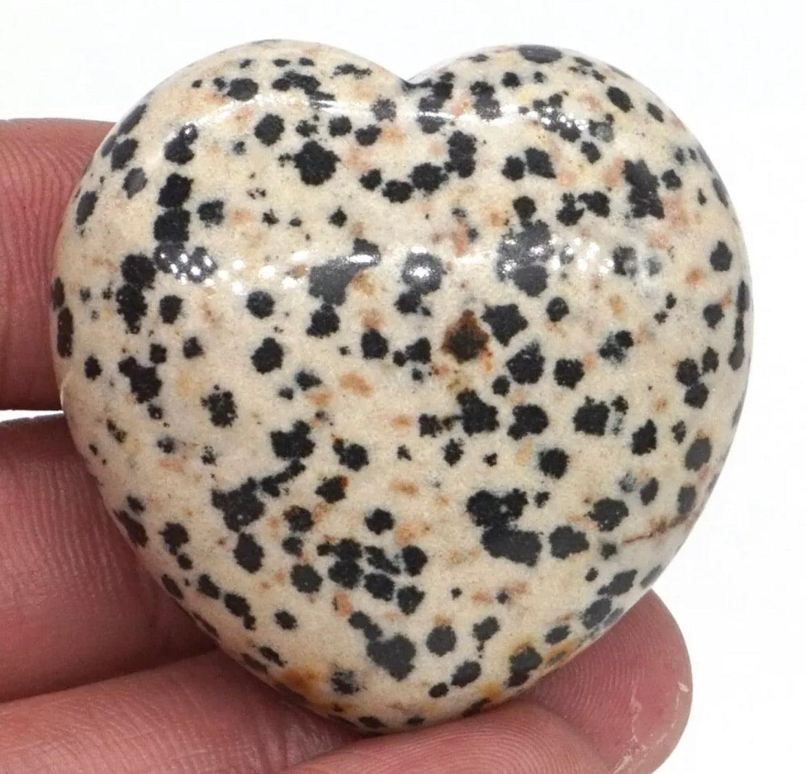 Natural Dalmatian Jasper