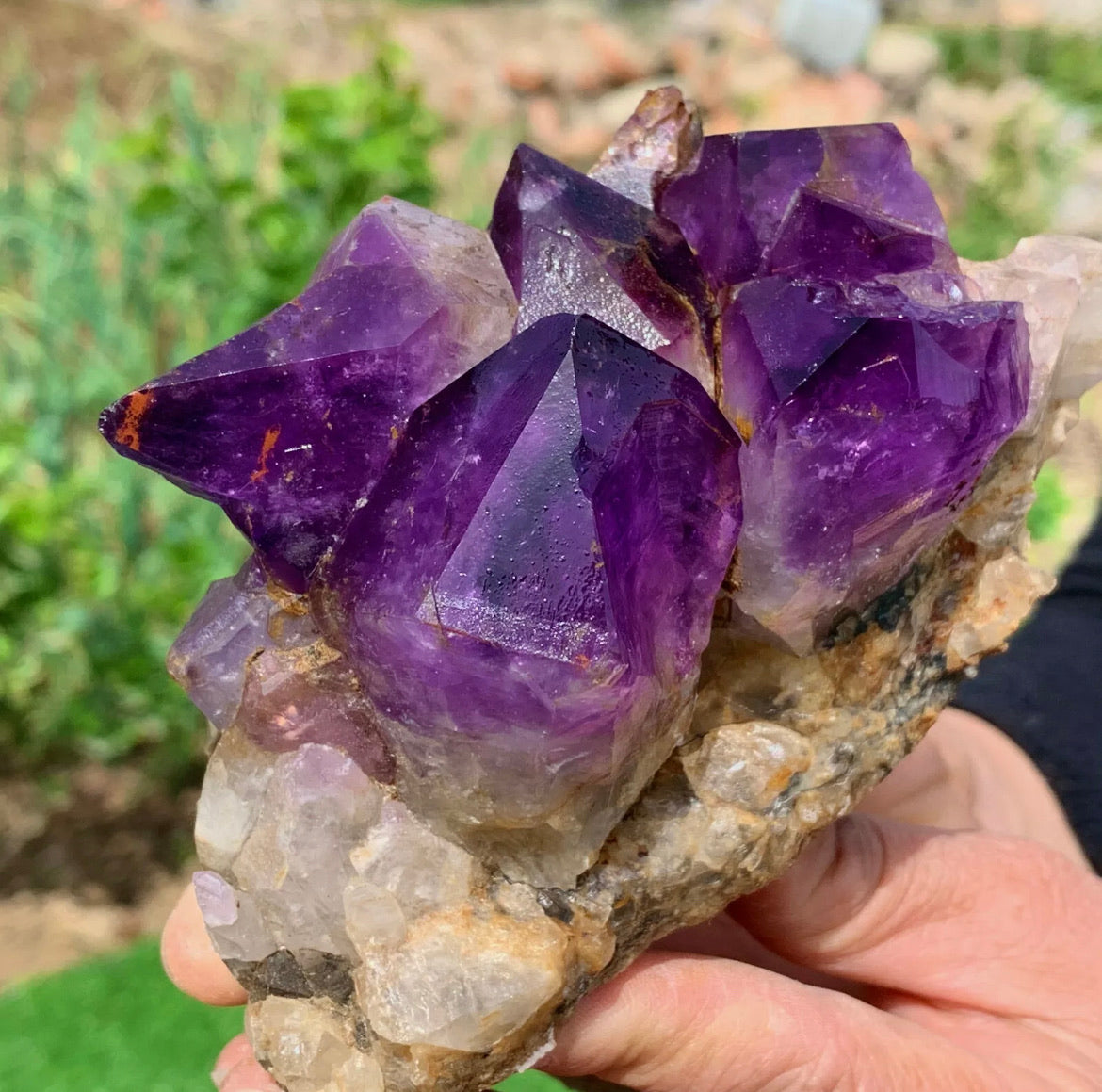 Natural Amethyst gemstone geode cluster crystal specimen